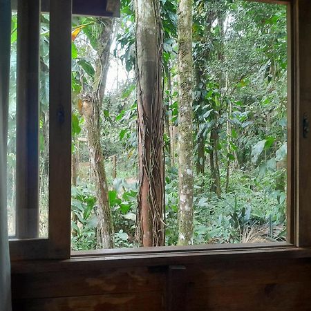 Sitio Das Bromelias Cachoeira Do Tombador Ubatuba Dış mekan fotoğraf
