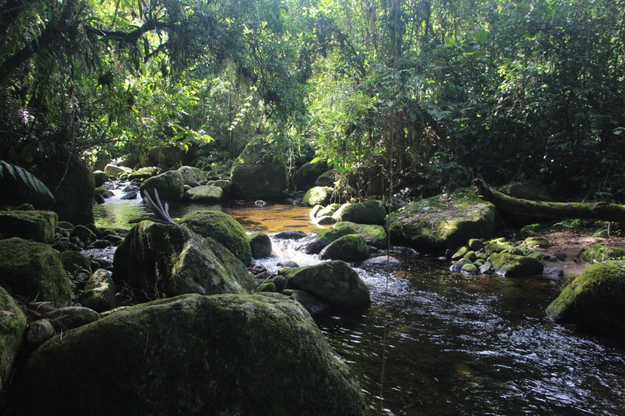Sitio Das Bromelias Cachoeira Do Tombador Ubatuba Dış mekan fotoğraf