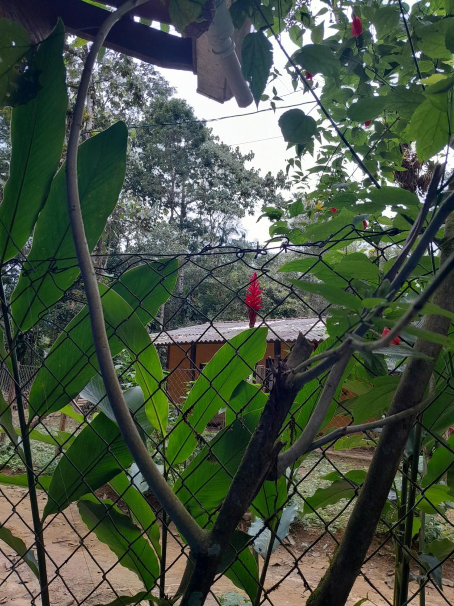 Sitio Das Bromelias Cachoeira Do Tombador Ubatuba Dış mekan fotoğraf
